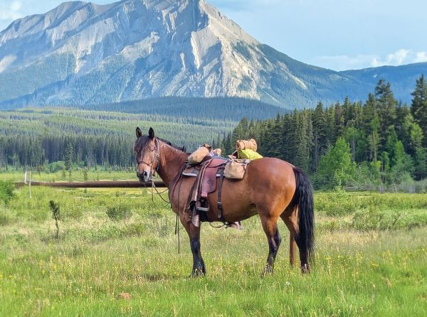 trail riding preparation, horse fitness training, trail horse skills, equine conditioning program, horse camping trips Canada, rider fitness equestrian, trail riding safety, horse training for trails