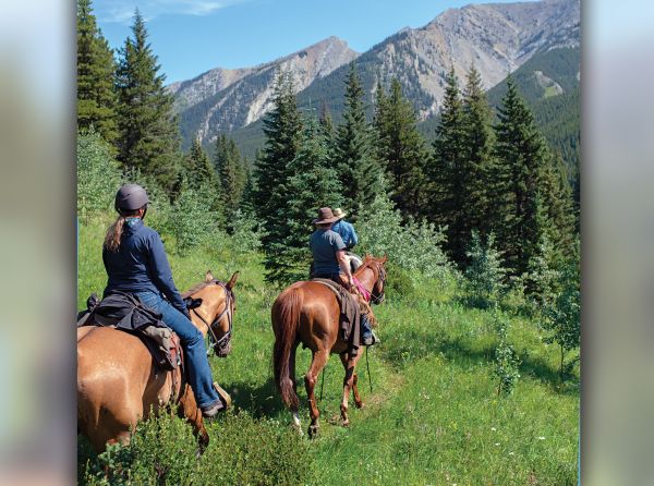 out there first aid, emergencies with horses, riding accidents, trail riding safety, horse riding safely, horse riding first aid