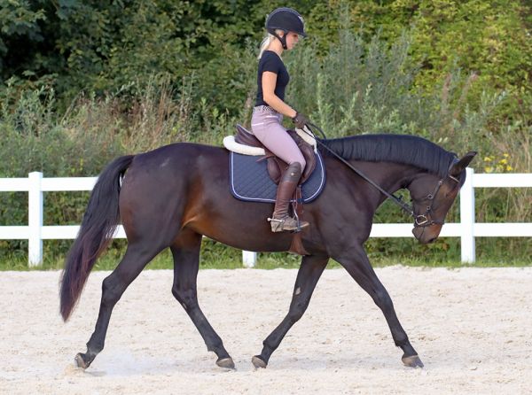 should i time my horse's ride? How do you train a horse by feel? how much time should I ride my horse? jec ballou horse traiing