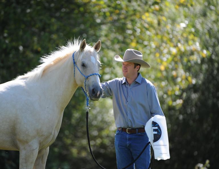 desensitizing the horse, Horsemanship Horse Training, restarting horse training, jonathan field, training young horse