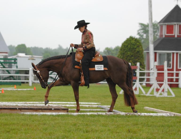 Lindsay Grice, prepare for horse show, prepare for equine show, showing a horse, how to show a horse, prepare for a dressage test, prepare for a horse jumper class, prepare for a Western horse class