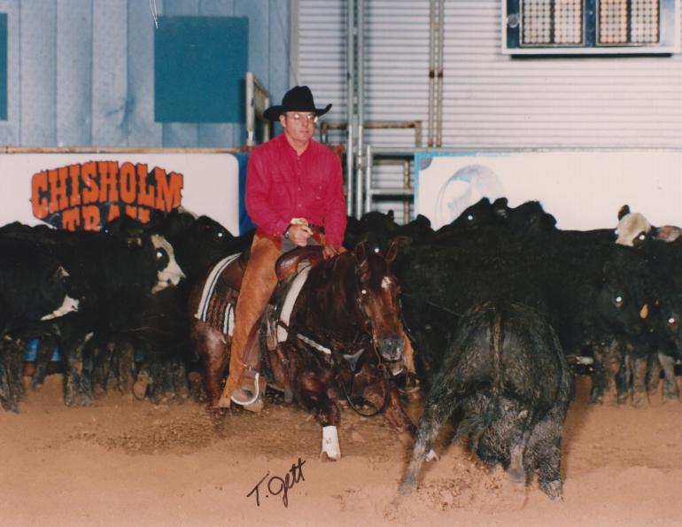 Choosing a Cutting Horse National Cutting Horse Association All-time Leading Sire High Brow Cat