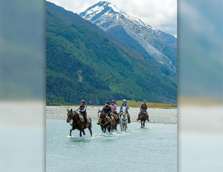 horseback riding vacations, riding horses holidays, shawn hamilton horse journalist, horse destination vacations