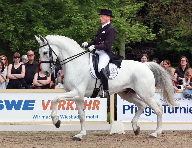 optimal horse fitness, horse peak performance, equine athletes, Dr. Sebastian McBride, understanding horse temperament, horse temperament testing, horse care, Psychological Factors Affecting Equine Performance, temperament of a young horse, Psychology of Performance Horses, Margaret Evans