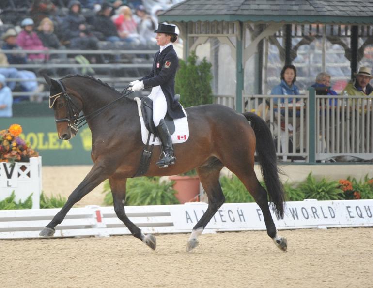 Belinda Trussell, out of the Saddle Exercises to Improve Your Riding Skills, horse riding exercises, correct rider position