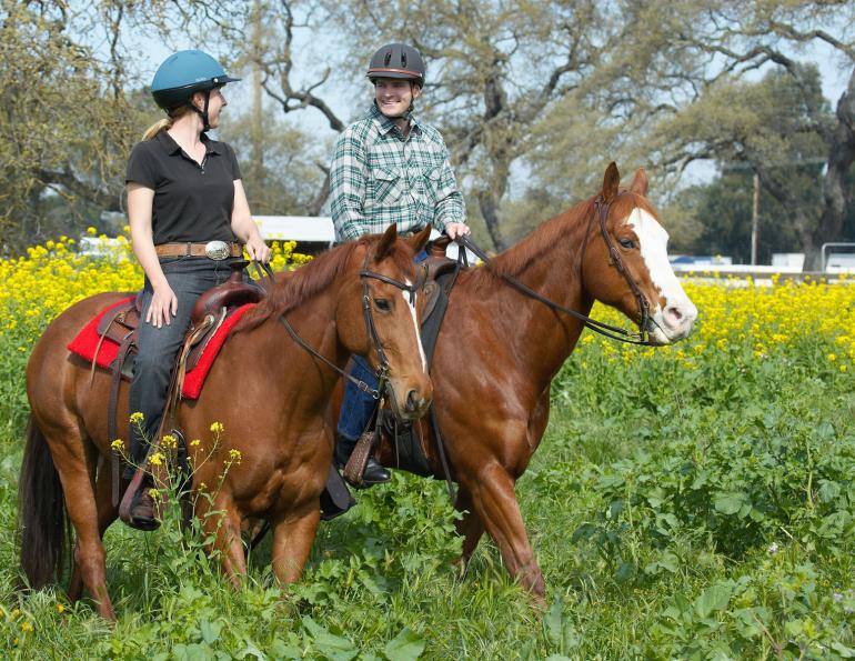 Canadian equine economy, Canadian horse economy, 2010 Canadian Equine Industry Profile Study, Canada’s Horse People, Canadian horse economy stats, Economic Impact horse industry Canada, Economic Climate horse industry Canada
