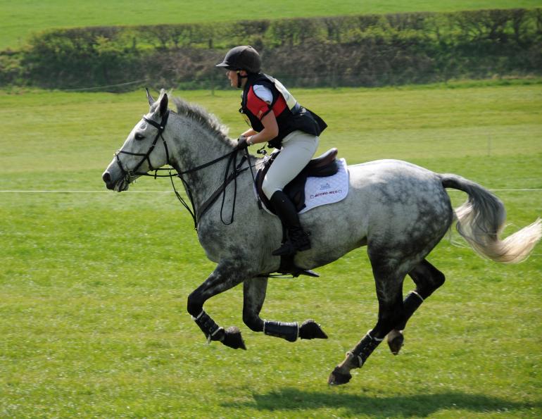 clinical signs of equine gastric ulcer syndrome, understanding equine stomach, what are equine gastric lesions? what is equine hyperkeratosis? clinical signs of EGUS