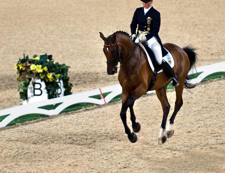 crooked flying change dressage, straight flying change dressage, flying change dressage, dressage change lead, flying lead change, balance flying change, rhythm flying change, uphill flying change, Sandra Verda crooked flying change dressage, straight flying change dressage, flying change dressage, dressage change lead, flying lead change, balance flying change, rhythm flying change, uphill flying change, Sandra Verda
