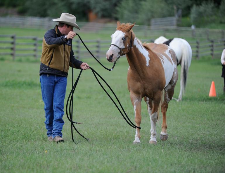 Jonathan Field, natural horsemanship, Leg Shy Horse, claustrophobic horse, connect with shy horse, rope leading horse, get horse to direct steer, horse leading by his feet, horses working cows