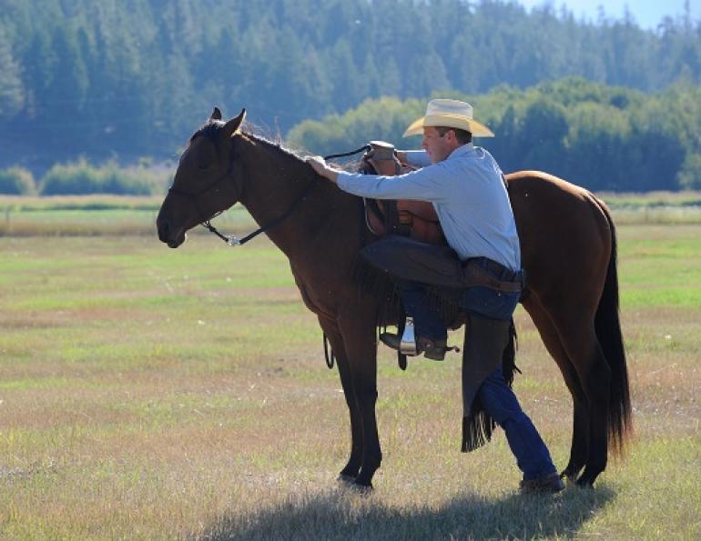 Jonathan Field, Natural Horsemanship, Mounting Horse, Mounting Green Horse, Horse Behaviour Jonathan Field, Natural Horsemanship, Mounting a Horse, Mounting a Green Horse, Horse Behaviour