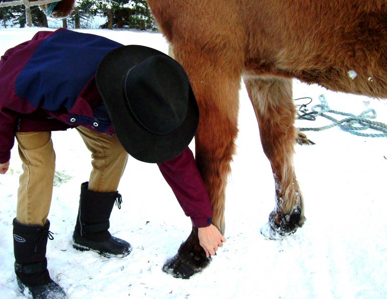 First Aid for Trail & Home