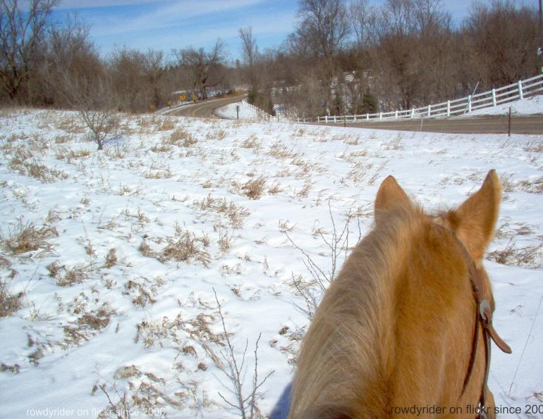 Stan Walchuk, Jr, trail horse training, off season trail horse, desensitize horse, bomb proof horse, horse trail riding tips, winter horse training Stan Walchuk, Jr, trail horse training, off season trail horse, desensitize horse, bomb proof horse, horse trail riding tips, winter horse training