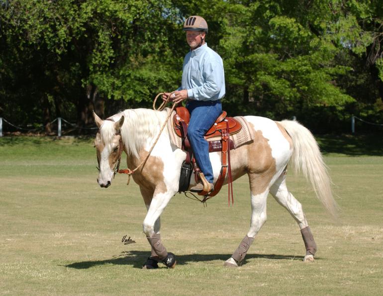riding horses with eyes up, best riding position horses, lindsay grice