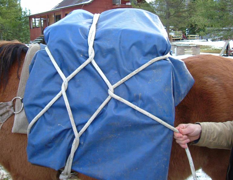 Hitching a Pack Horse, trail riding tips, types of horse htitches, single diamond horse hitch