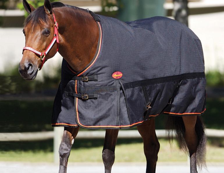 horse blanket Tips, equine blanket tips, durable horse blankets, denier horse blanket, horse blanket fittings, Waterproof horse blankets, breathable horse blankets, equine fly sheets horse blanket Tips, equine blanket tips, durable horse blankets, denier horse blanket, horse blanket fittings, Waterproof horse blankets, breathable horse blankets, equine fly sheets