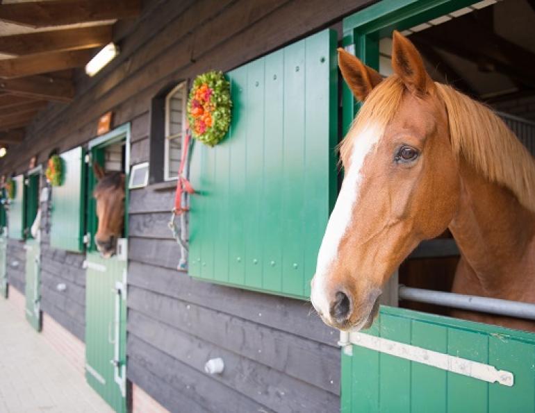 enviromentally friendly horse barn, eco friendly horse, eco friendly horse barn, stephanie captein Langley Environmental Partners Society, recycling horse bedding, composting horse manure enviromentally friendly horse barn, eco friendly horse, eco friendly horse barn, stephanie captein Langley Environmental Partners Society, recycling horse bedding, composting horse manure