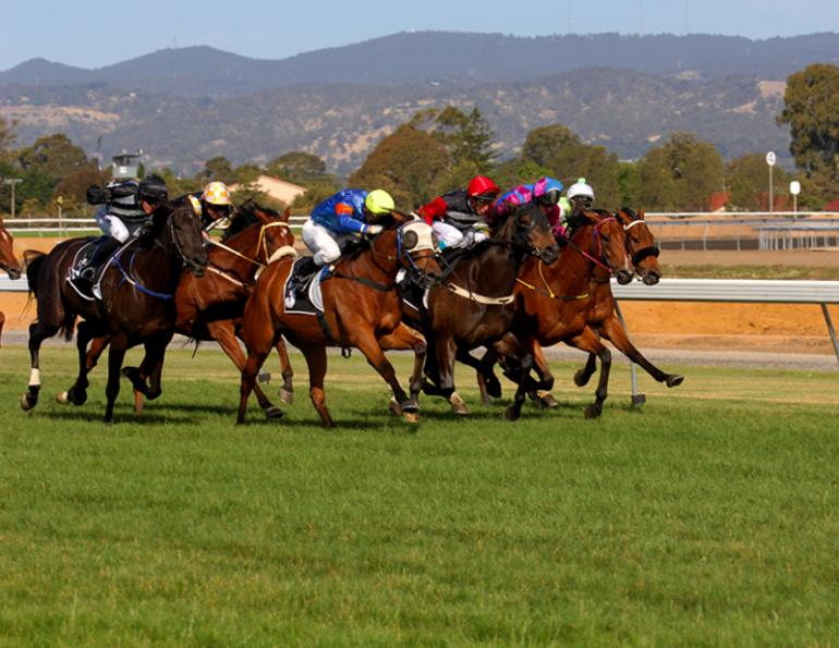 Female Jockeys good As Males, female jockey vs male jockey, Vanessa Cashmore, female horse jockeys, Gemma Tutty, nick rust, Mark Andrews, Equine Science