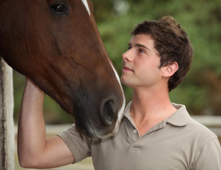 spoiled horses, will clinging, nervous horse, scared horse, difficult horse