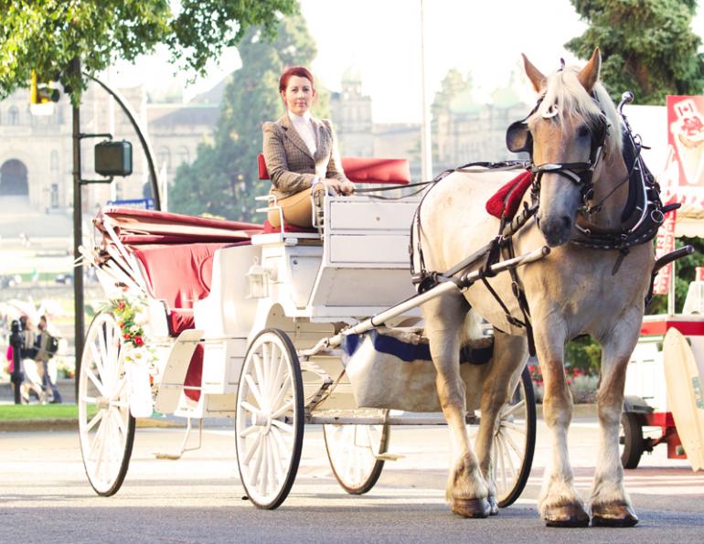 Carriage Horses, Tally-Ho Carriage Tours, Anton Henderson, Robert Carriages Inc., Donna Friedlander, horse jobs, equine jobs Carriage Horses, Tally-Ho Carriage Tours, Anton Henderson, Robert Carriages Inc., Donna Friedlander, horse jobs, equine jobs