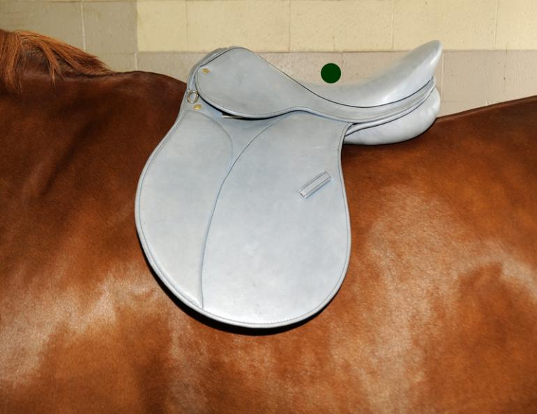 9 Point Saddle Fit, Jochen Schleese, proper horse saddle fitting, Withers Clearance, Gullet width, channel Width, horse saddle tree angle, equine saddle fitting