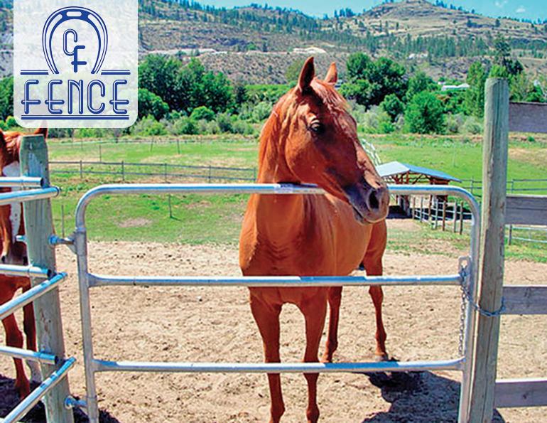 horse fencing, barn fire sprinklers, continuous fencing horse farm, custom designed horse fence, gates for horses, ranch fences, canadian horse fencing, cf fences