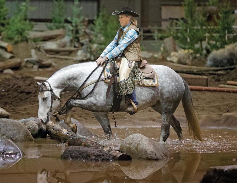 mountain trail horse, trail horses, oregon horse center, horse obstacles, tania millen, debbie hughes, bc mountain trail, imtca canada, dragonfly stable, grasswood horse park, hanging h arena, oak springs farm, sagewood trail course, shumway lake equestrian centre