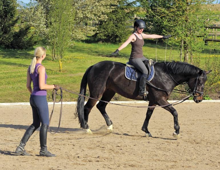 horses with jobs, working horses, school horses, therapy horses, search and rescue horses, quadrille horses, movie horses, horse temperament, equine careers