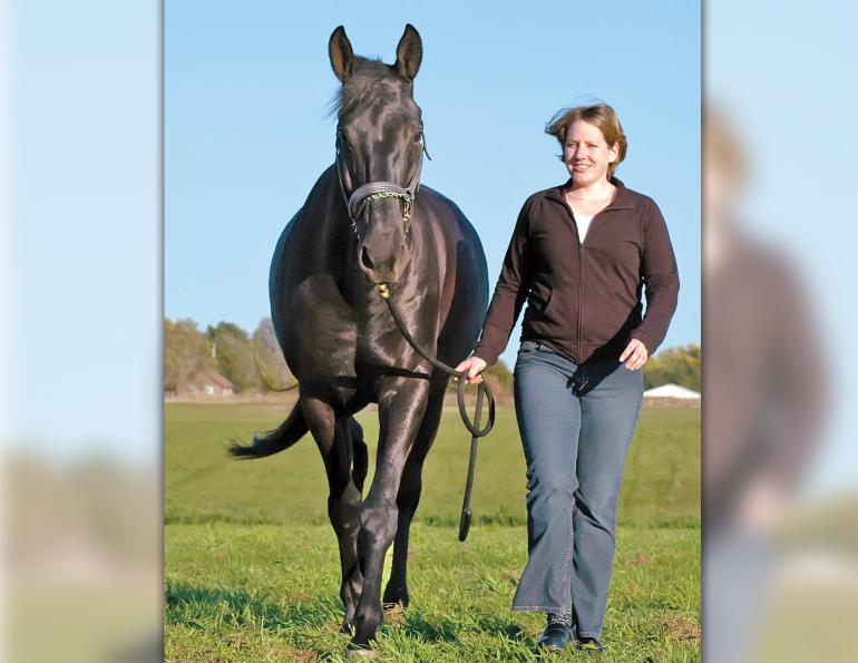 GROUNDWORK horses, exercises for horses, keeping a horse fit, jec ballou horse fitness, how to keep my horse healthy without riding, exercising a horse without riding