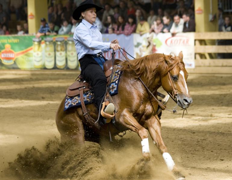 Analyzing Reining Horse Conformation, Lisa Coulter, strong-boned with short, well-sloped pasterns, equine topline, horse conformation, equine conformation, reining horse conformation, kentucky reining cup, nrha championships, fei ranking rider, kentucky equine research