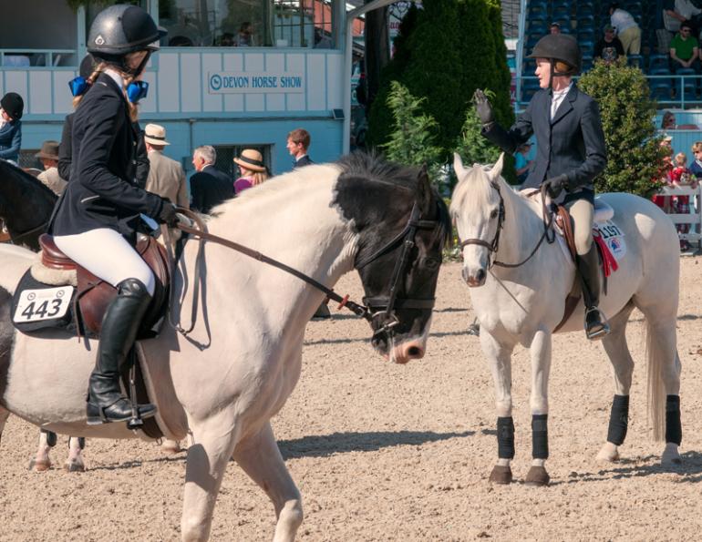 karen L. Weslowski, equine waivers, equine liability agreements, Unambiguous Waiver Risk Hazard,