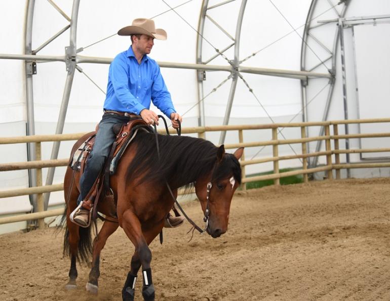 jonathan field, natural horsemanship, boxing horses, equine footwork, horse shoulders, horse footwork, natural horsemanship footwork