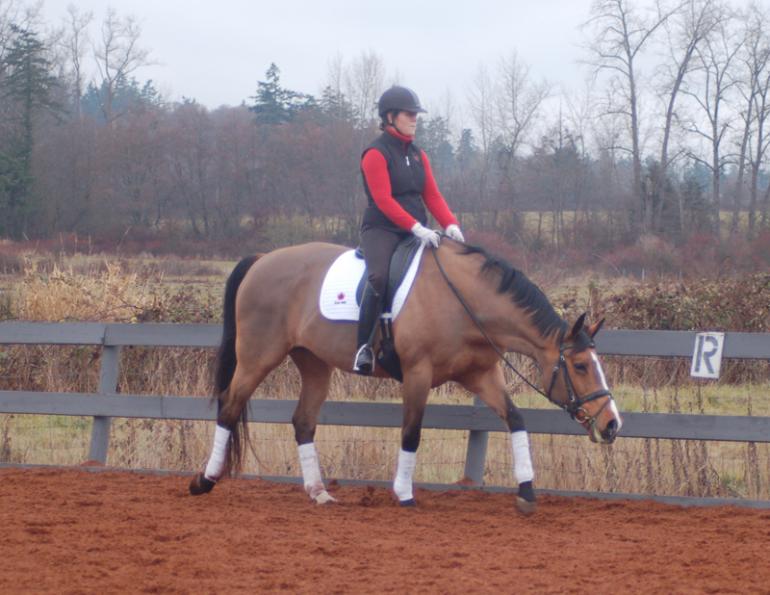 starting out right horse foot, nancy tapley, horse warm-up, Karen brain, horse riding technique, horse training 