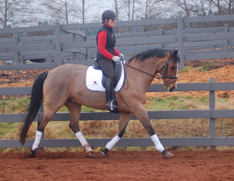 starting out right horse foot, nancy tapley, horse warm-up, Karen brain, horse riding technique, horse training, Shannon Dueck, horse leg yield, equine leg yield, horse leg yield circle, hunter jumper exercises, Leg-Yielding Out Circle starting out right horse foot, nancy tapley, horse warm-up, Karen brain, horse riding technique, horse training, Shannon Dueck, horse leg yield, equine leg yield, horse leg yield circle, hunter jumper exercises, Leg-Yielding Out Circle