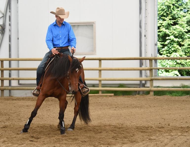 jonathan field, natural horsemanship, boxing horses, equine footwork, horse shoulders, horse footwork, natural horsemanship footwork