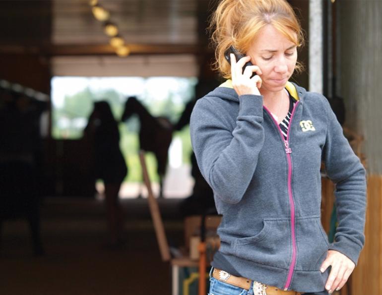 alternative treatments horse, laws for farriers canada, laws for equine massage, equine chiropractors, horse veterinary associations, injuries horses, horse castration