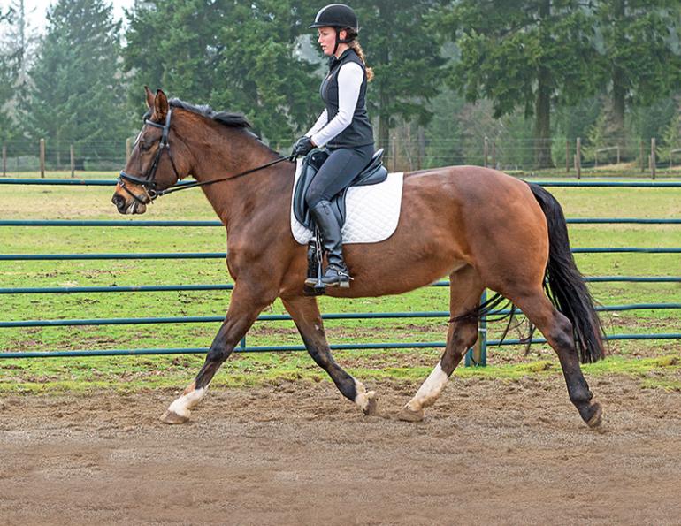 exercises for horse riders, dressage riding exercises, fitness for horse riders, equestrian fitness
