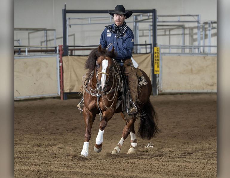 john swales million dollar club, National Reined Cow Horse Association (NRCHA) 