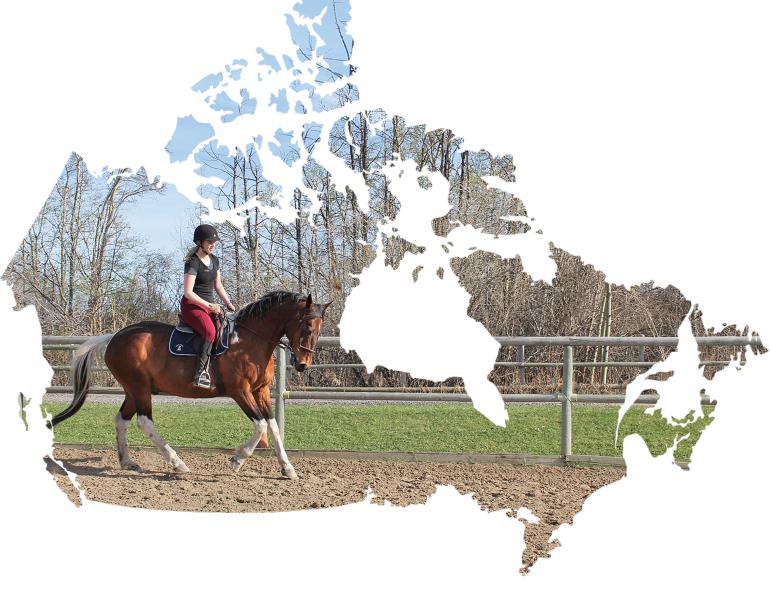 moving with horses, best places in canada to live with horses, alberta equine community, pei horse community, nova scotia equestrian community, tania millen