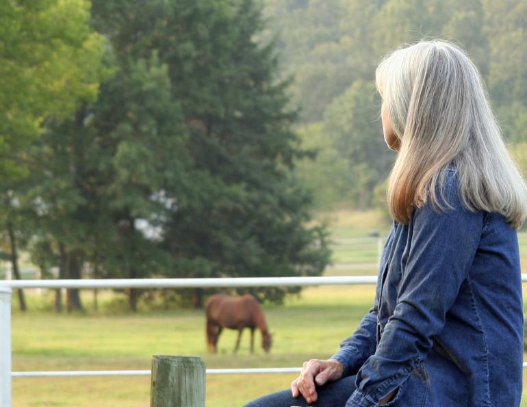 horse death, equine death, death of a horse, elaine little, margaret evans, robin duncan