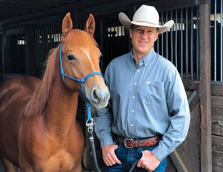 Jonathan Field, Foal horse trailering, colt horse trailering, foals horse trailers