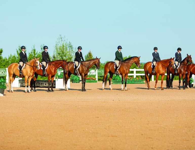 lindsay grice, flat class, how to judge a flat class, how to judge rail class, rules of a flat class, how to prepare flat class, lindsay grice