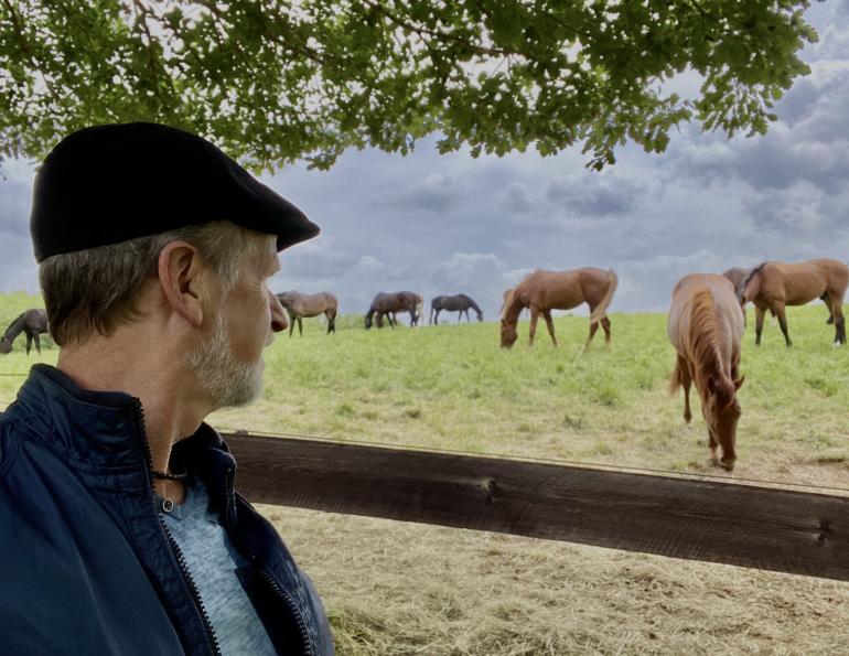 how much iron horse, shelagh niblock, iron overload equine, iron supplements horses