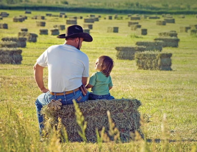 making hay for horses, first cut hay vs second cut hay, nikki alvin smith, how to store horse hay, mouldy hay horses, moist hay horses, preventing barn fires