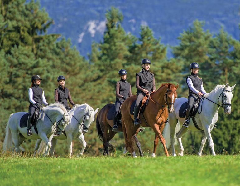 Weighted ball exercises, core work horse riders, Upper Body Strengthening, Balance Board Squats, Exercises for Horse Riders