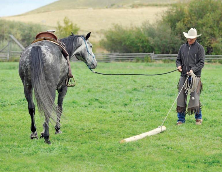 horse groundwork, Build Your Horse’s Confidence with jonathan field, natural horsemanship, exercises with horses, jonathan field dragging a log, horse confidence