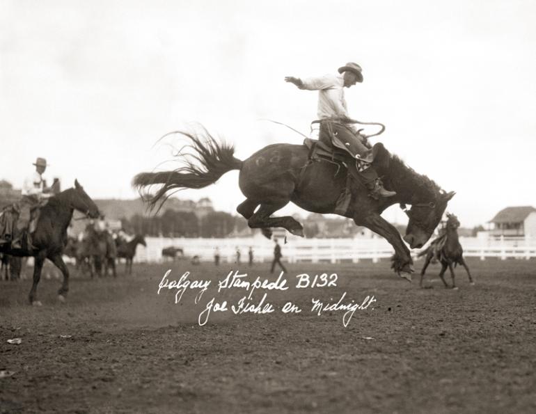 Midnight horse, Jim McNab Cottonwood Ranch, remarkable canadian horse Midnight horse