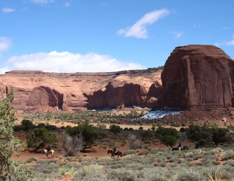 Stan Walchuk, Jr, equine trail riding first aid, horse rider safety, equine safety, equine first aid, equine tourniquets, equine vital signs, equine wound treatment, Dr. David Reed, horse care