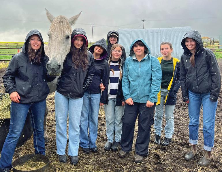 Yellowknife horses, Northwest Territories equestrian, NT Equestrian Society, bringing horses north Canada, remote horse communities Canada, horse riding Yellowknife, equestrian programs northern Canada, rebuilding horse community