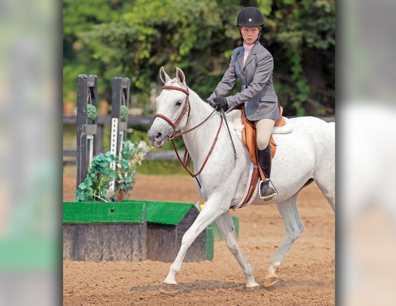 Equestrian Canada's Coach Licensing Program, how does ec's coach licensing work, requirements horse coaches canada, how to become a horse riding coach