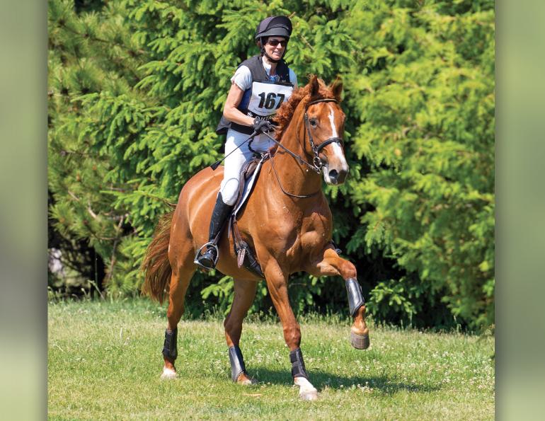 equestrian sport psychology, horse rider psychology, annika mcgivern, better horse riding skills, equestrian psychologist, counselling for horse people